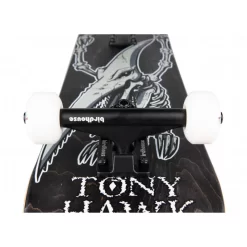 Hawk Pterodactyl 7.5" Birdhouse Complete -Magasin De Skate hawk pterodactyl 75 birdhouse complete 2