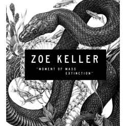 Performance Bamboo Fish 37" ARBOR Longboard -Magasin De Skate performance bamboo fich 37 arbor longboard 5