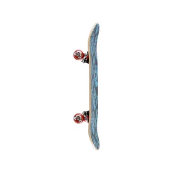 Skate Complet Classic Dot 7.25" SANTA CRUZ -Magasin De Skate skate complet classic dot 725 santa cruz 1