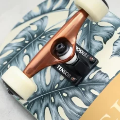 Skate Complet GLOBE G2 Mod Log 8.25" 9 Skate Complet GLOBE G2 Mod Log 8.25" -Magasin De Skate skate complet globe g2 mod log 825 3