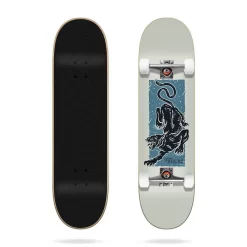 Tiger 7.87" TRICKS Skateboard