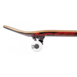 Triple Stack Rasta 8" Birdhouse Complete Stage 1 -Magasin De Skate triple stack rasta 8 birdhouse complete stage 1 3